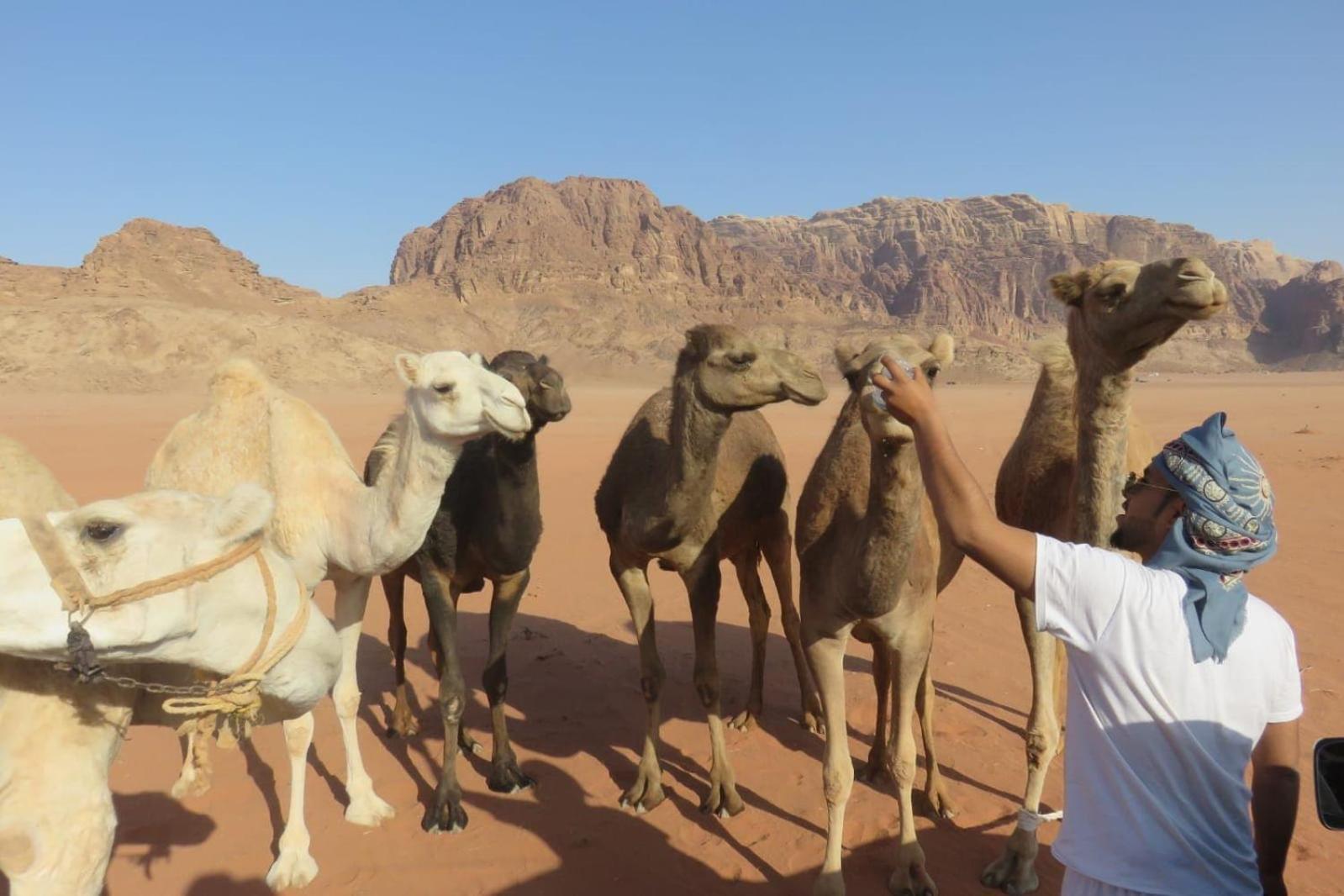 Wadi Rum Sunrise Camp Exteriér fotografie